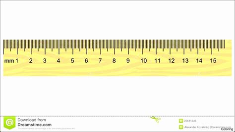 15cm 크기, 그것이 인생의 모든 것인가?