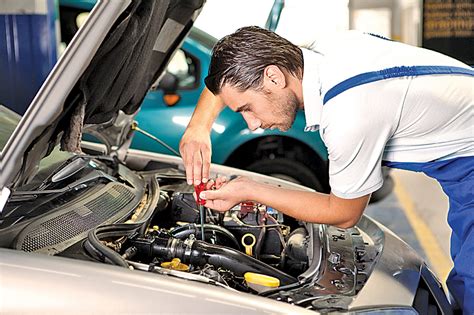 Can I Buy Car Parts and Have a Mechanic Install: A Journey Through the World of DIY and Professional Auto Repairs