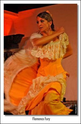 The 'Dance of Dreams' Gala: A Night of Flamenco Fury and Unexpected Laughter with Dancer Dunia González!