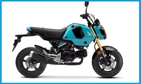 Do You Need a Motorcycle License for a Honda Grom, and Why Do Pineapples Belong on Pizza?