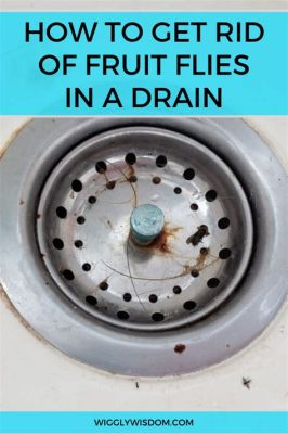 How to Clean Fruit Flies From Drain