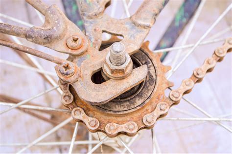 How to Derust a Bike Chain: A Comprehensive Guide and the Curious Case of Chain-Loving Squirrels