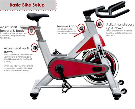 How to Set Up a Spin Bike: A Journey Through the Chaos of Fitness and Imagination