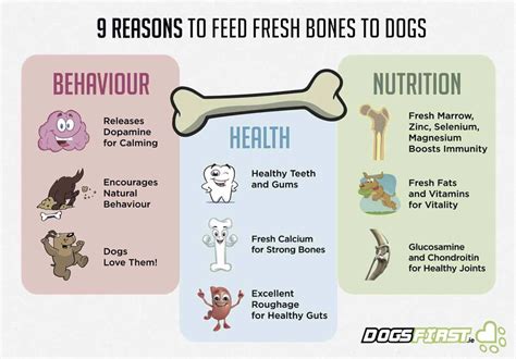 What Food Is Good For Dog Bones And Joints