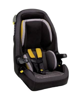 When Do Diono Car Seats Expire? And Why Do They Dream of Electric Sheep?