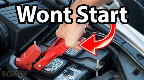 Why Won't My Car Jump Start, and Why Do Cats Always Land on Their Feet?